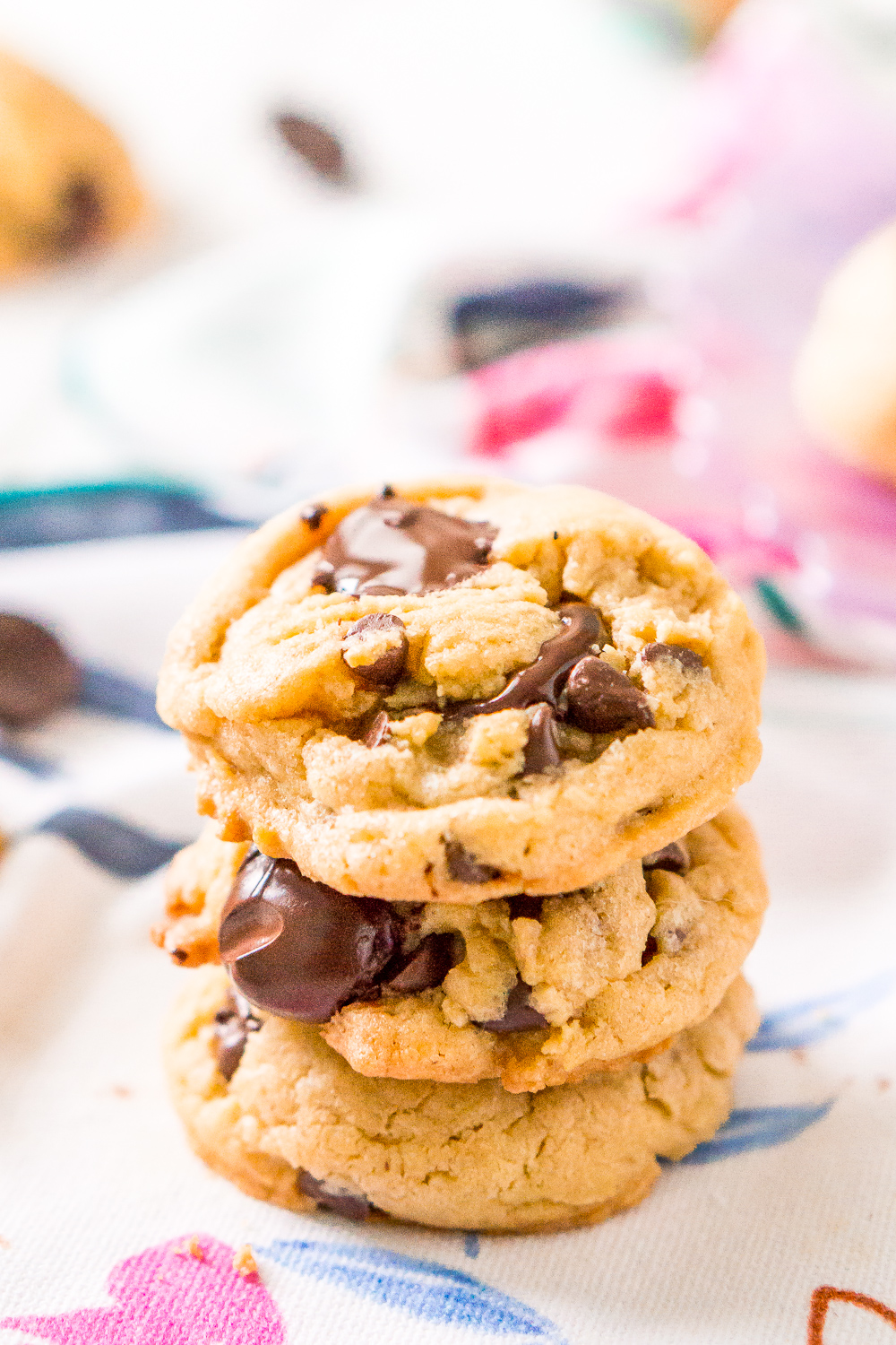 Peanut Butter Chocolate Chip Pudding Cookies