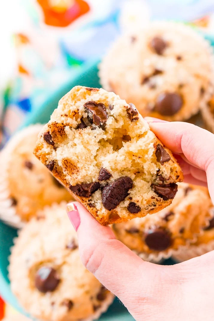 Chocolate Chip Muffins