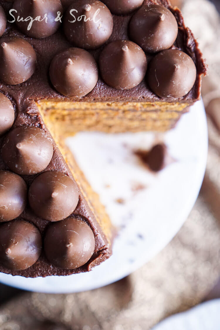 This Chocolate Pumpkin Cake is the ultimate pumpkin and chocolate combo for fall! Five layers of sweet and fluffy pumpkin cake wrapped in a whipped chocolate buttercream frosting!