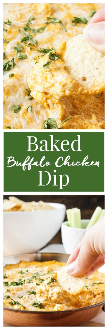 This Baked Buffalo Chicken Dip is made with real cream and blue cheeses, rotisserie chicken, hot sauce and spices for a sensational appetizer that's sure to please! Plus, it's ready in less than 30 minutes!