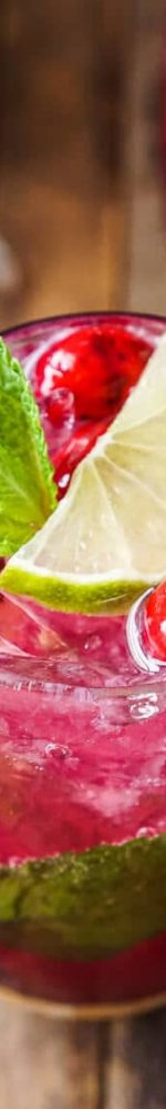 Cranberry Mojito Punch