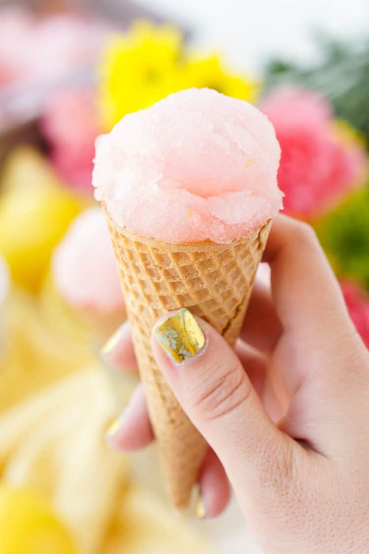 Pink Lemonade Sorbet
