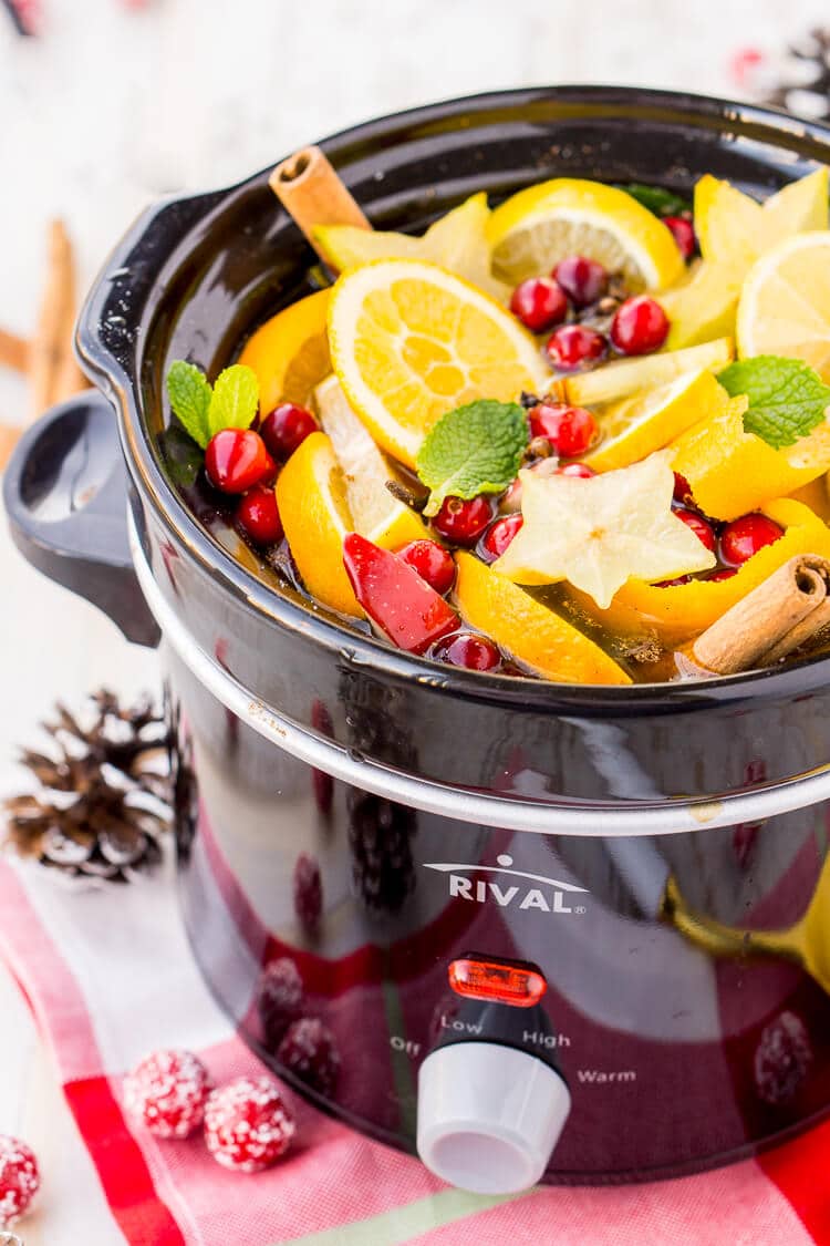 DIY Holiday Crock Pot Potpourri