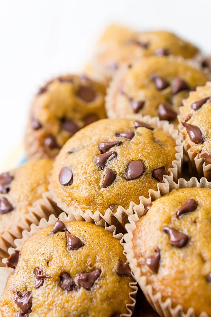 Chocolate Chip Pumpkin Muffins