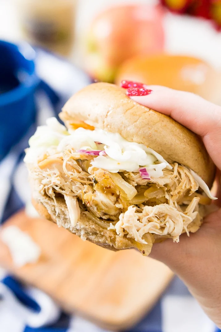 Weight Watchers Pulled Chicken