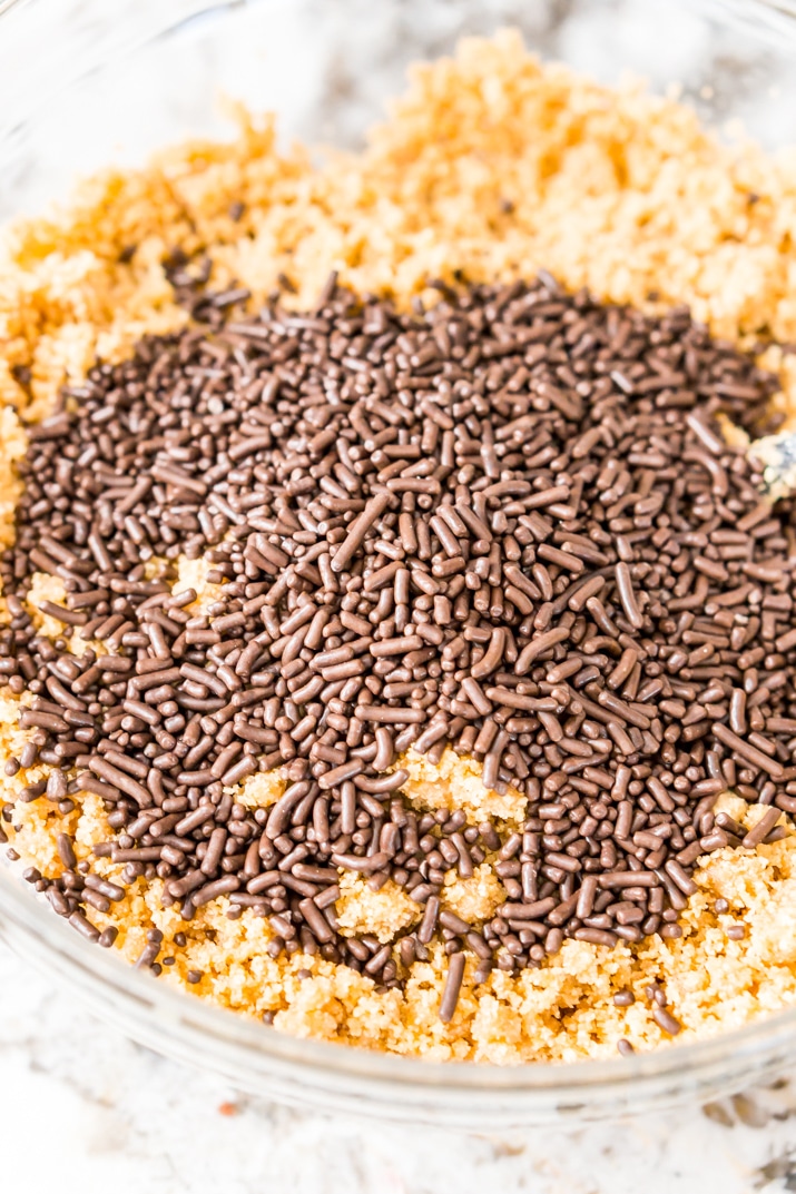 Add sprinkles to graham cracker crust