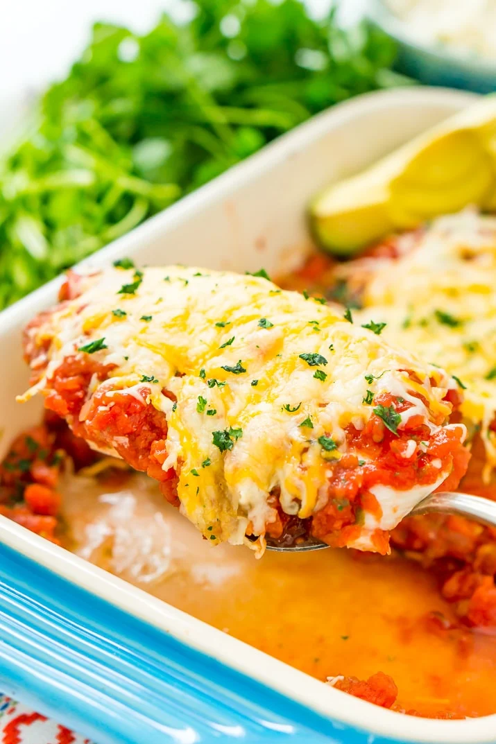 Salsa Chicken