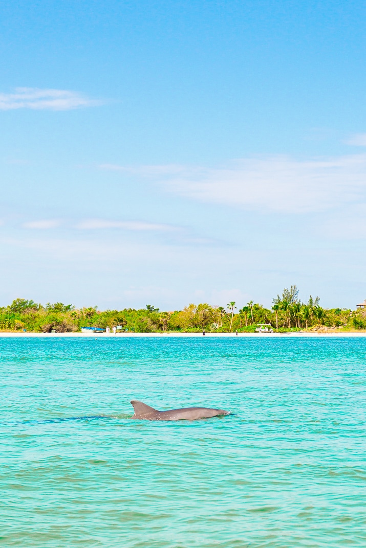 Planning a trip to Fort Myers Beach, Florida and looking for ideas for things to do and see and where to stay, here are my recommendations.