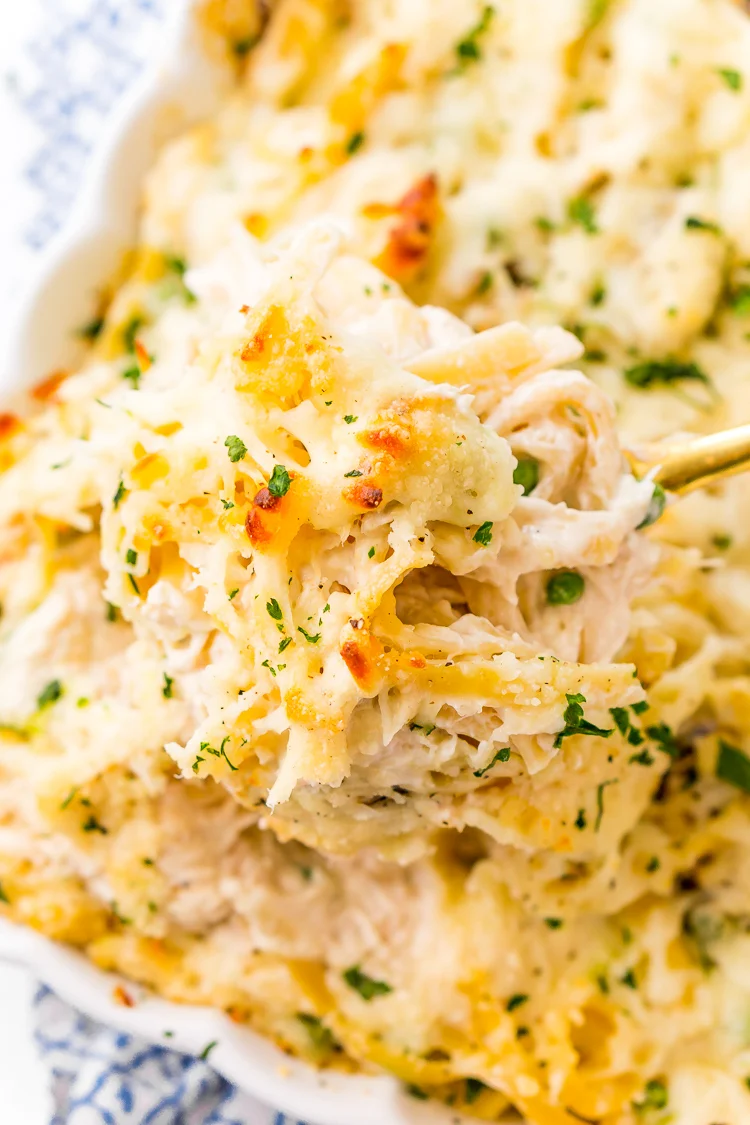 Chicken Tetrazzini
