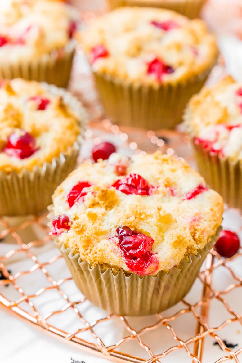 Cranberry Orange Muffins