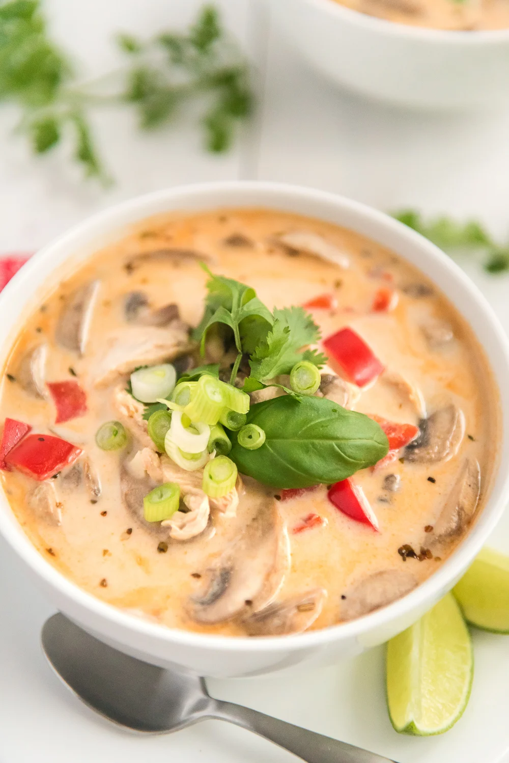Tom Kha Gai Soup Recipe