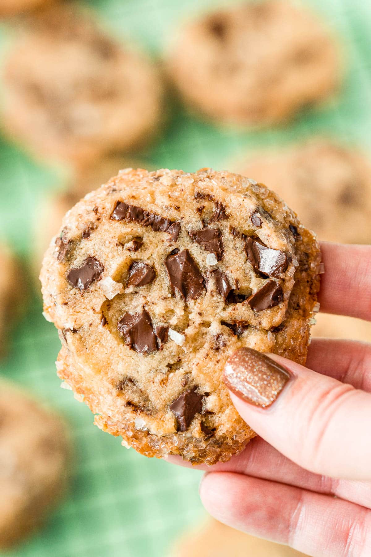 Salted Chocolate Chunk Shortbread Cookies