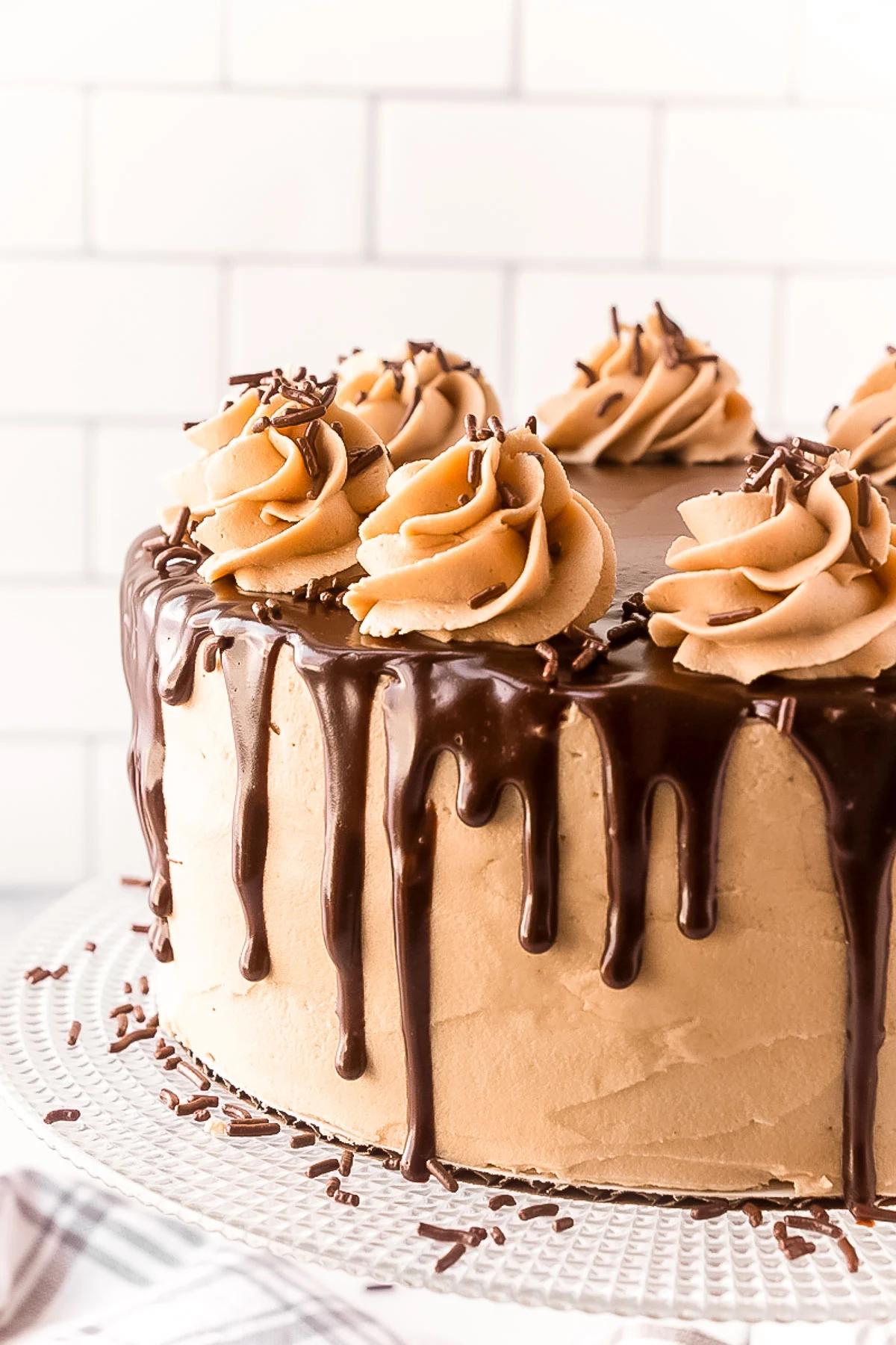 Chocolate Cookie Butter Cake