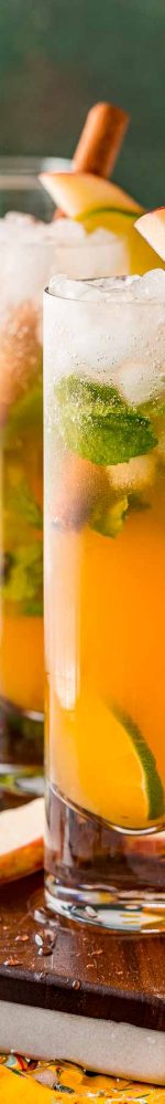 Apple Cider Mojito