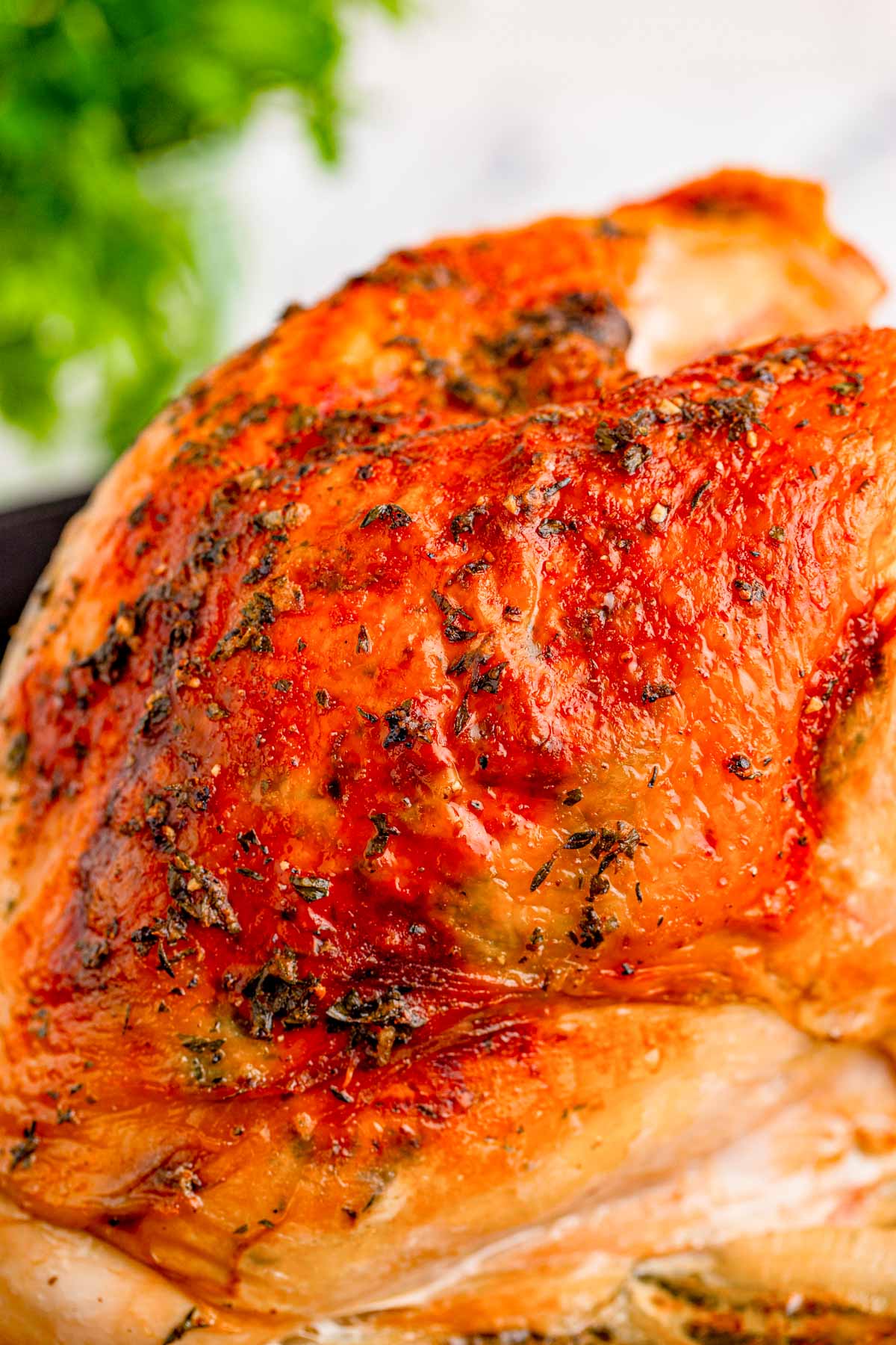 Herb Roasted Turkey Breast