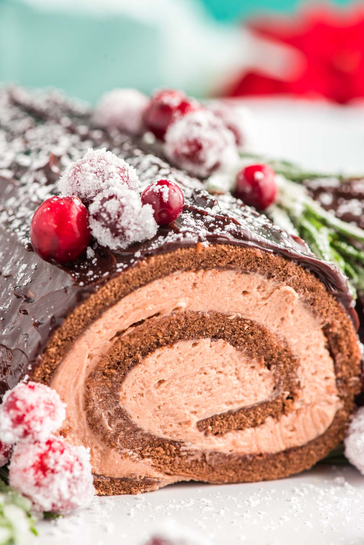 Bûche de Noël / Yule Log Cake
