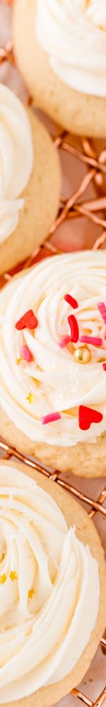 Champagne Sugar Cookies