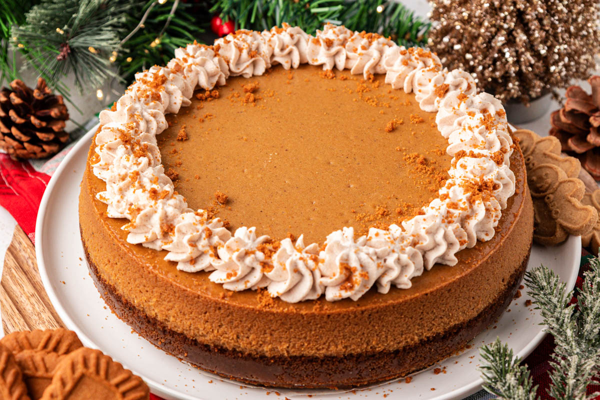 Gingerbread Cheesecake Recipe