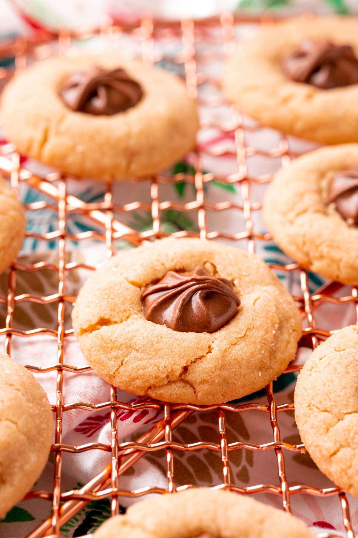 Peanut Blossom Cookies