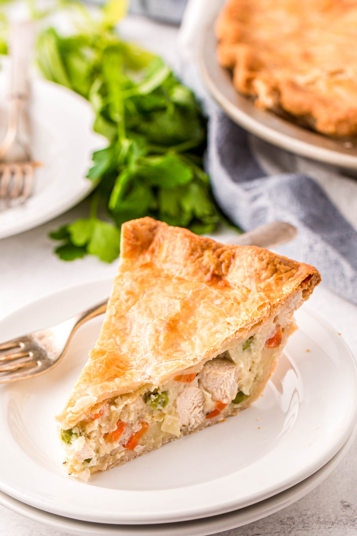 Chicken Pot Pie