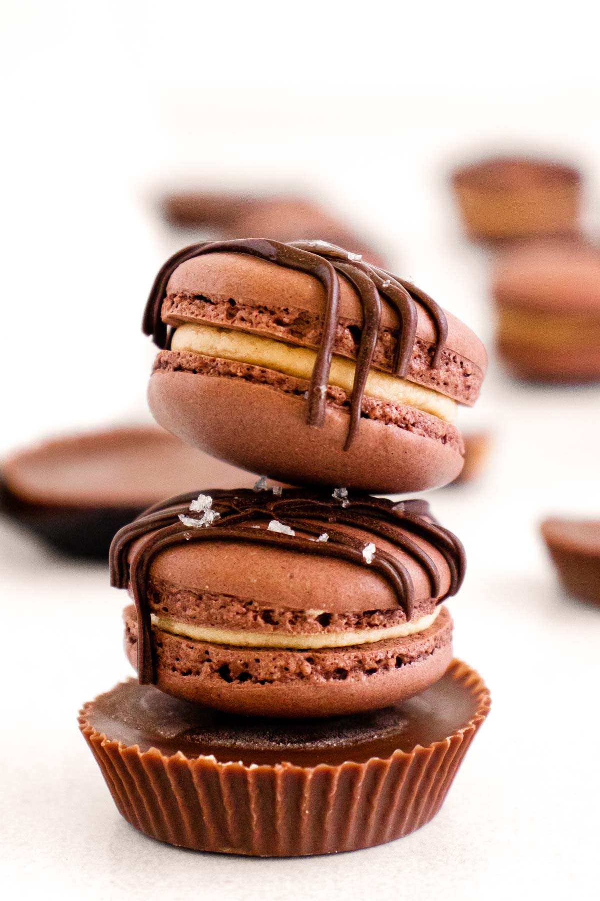 Chocolate and Peanut Butter French Macarons