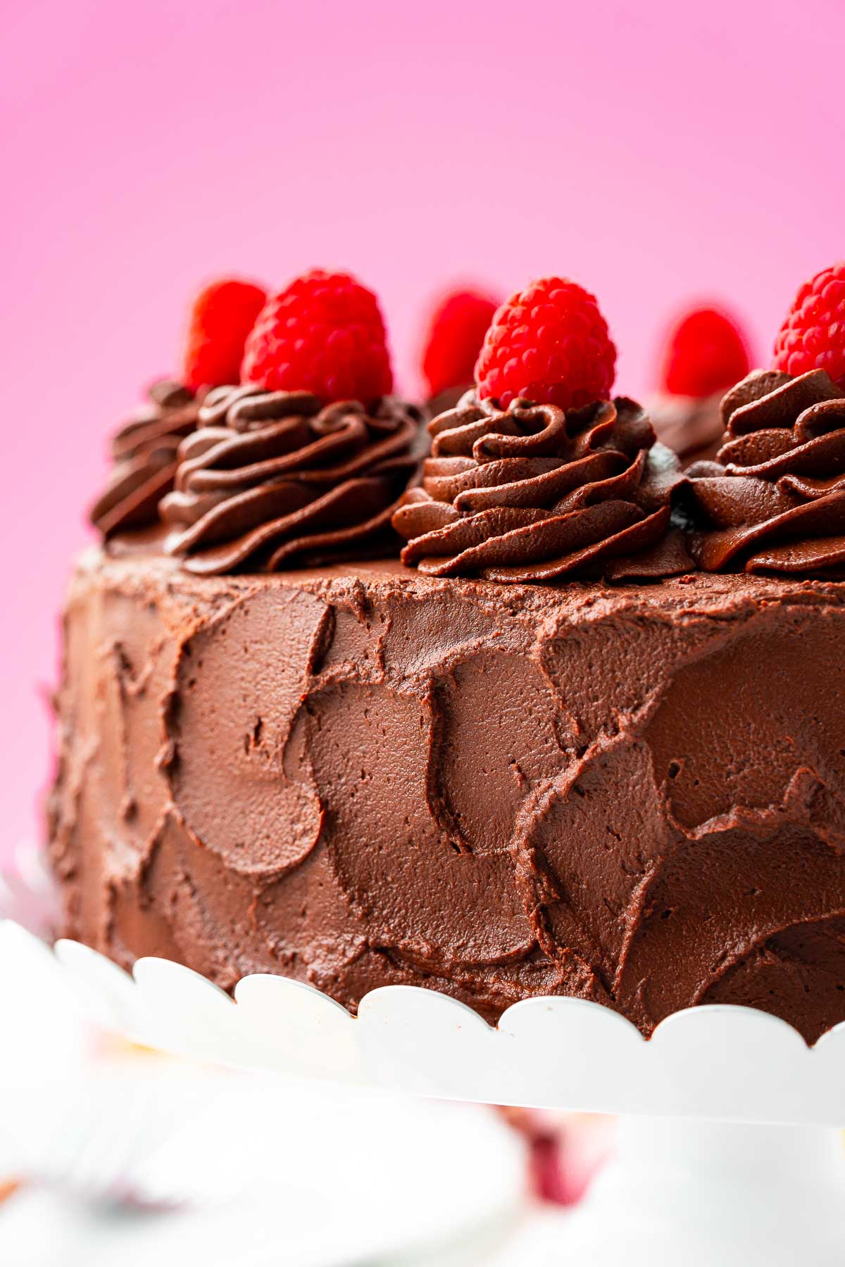 Raspberry Chocolate Cake