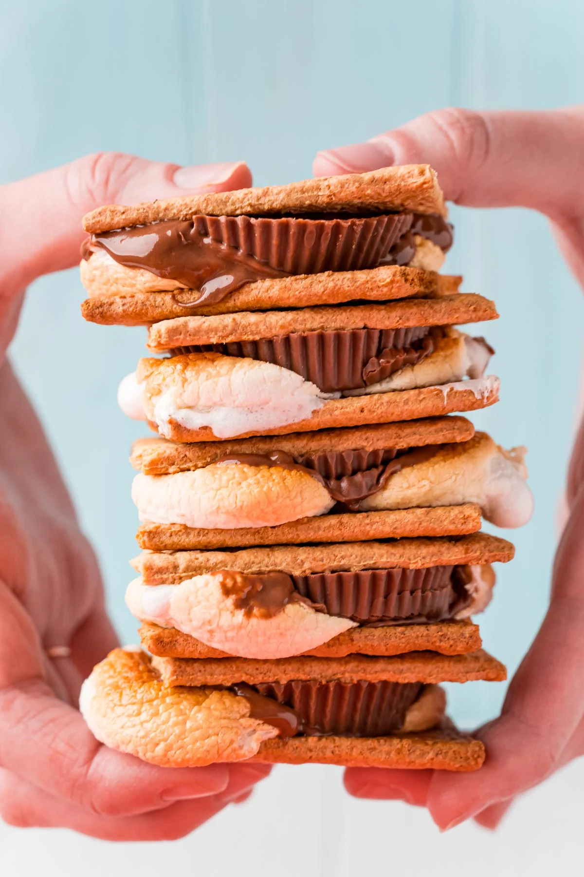 Air Fryer S’mores