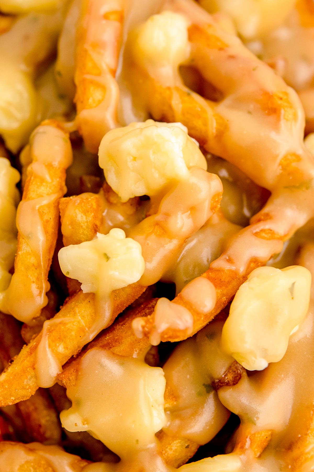Close up photo of poutine.