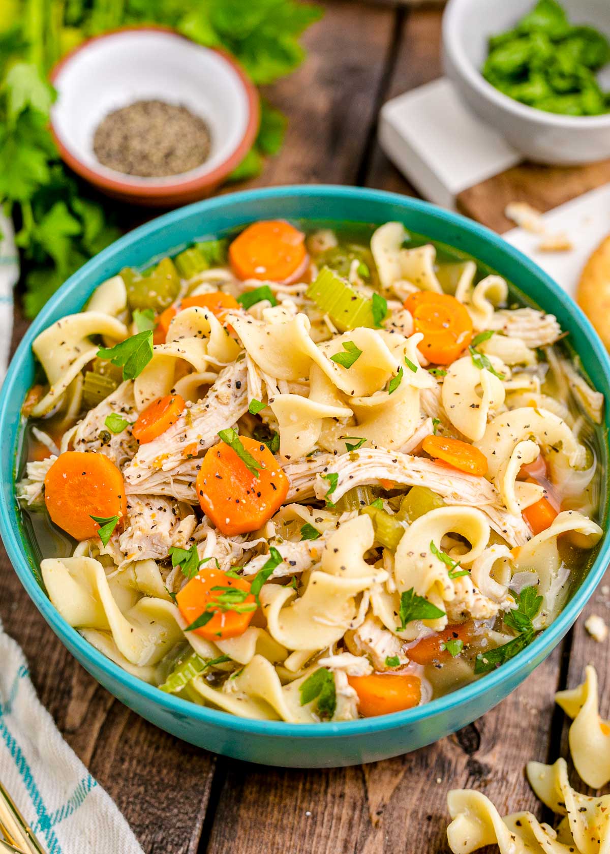 Instant Pot Chicken Noodle Soup