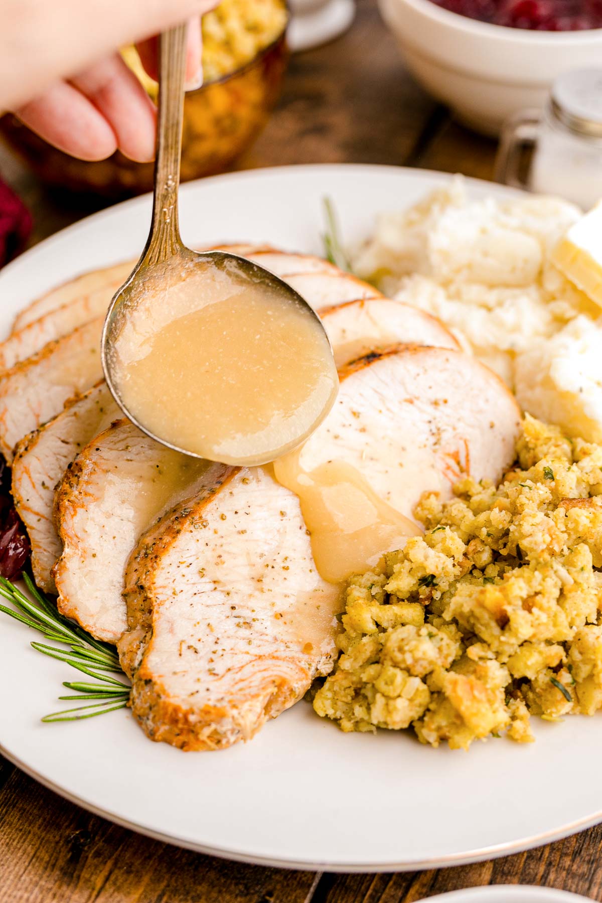 Instant Pot Turkey Breast