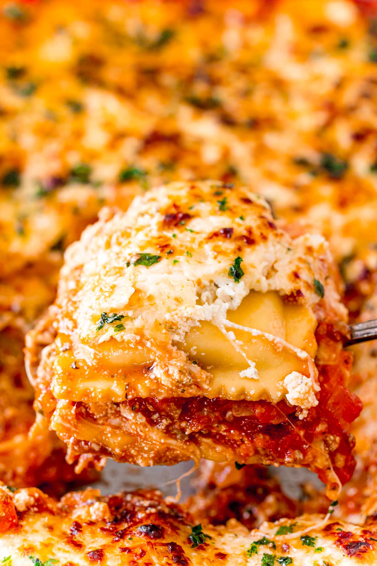 Ravioli Lasagna