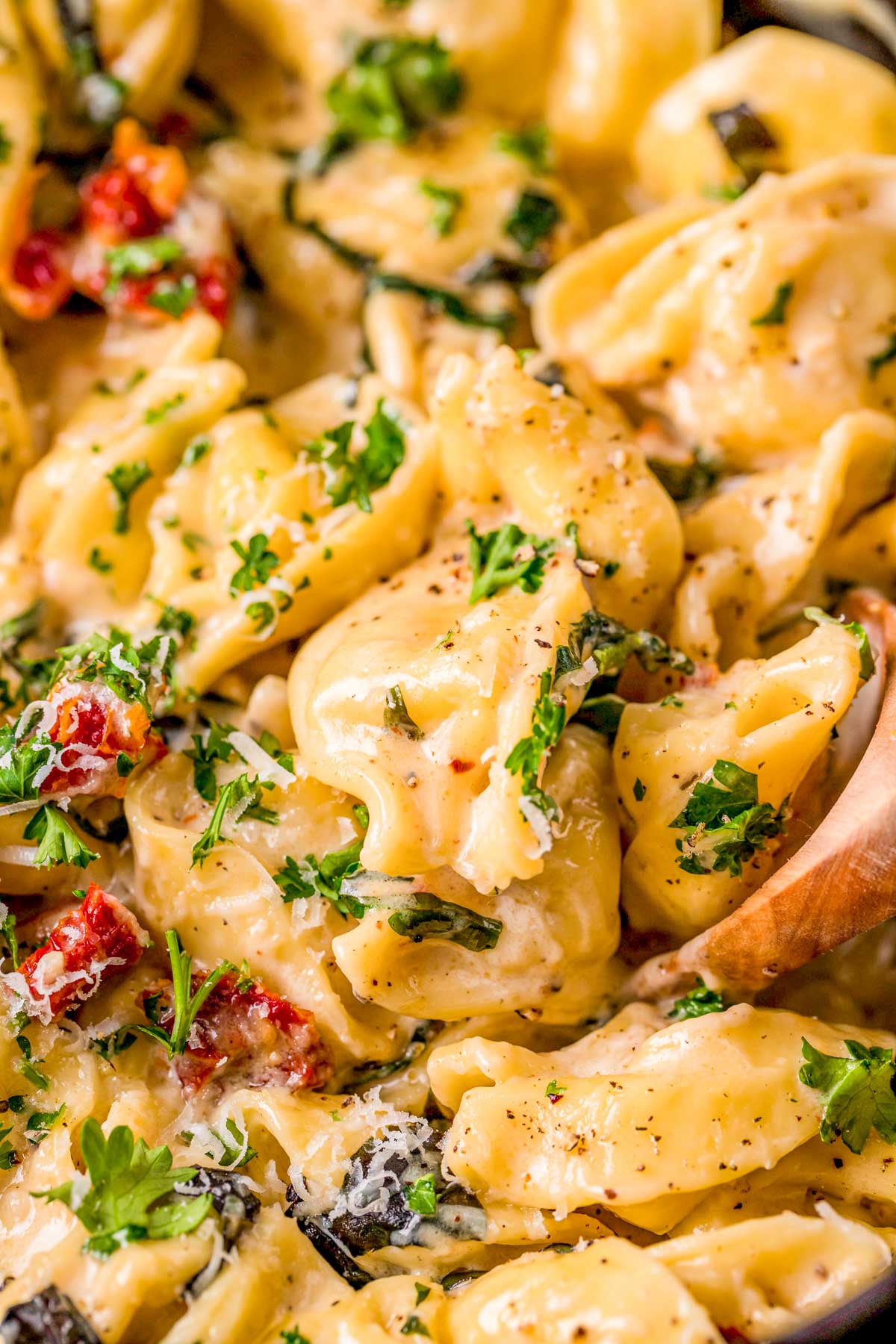 Tortellini Panna Pasta