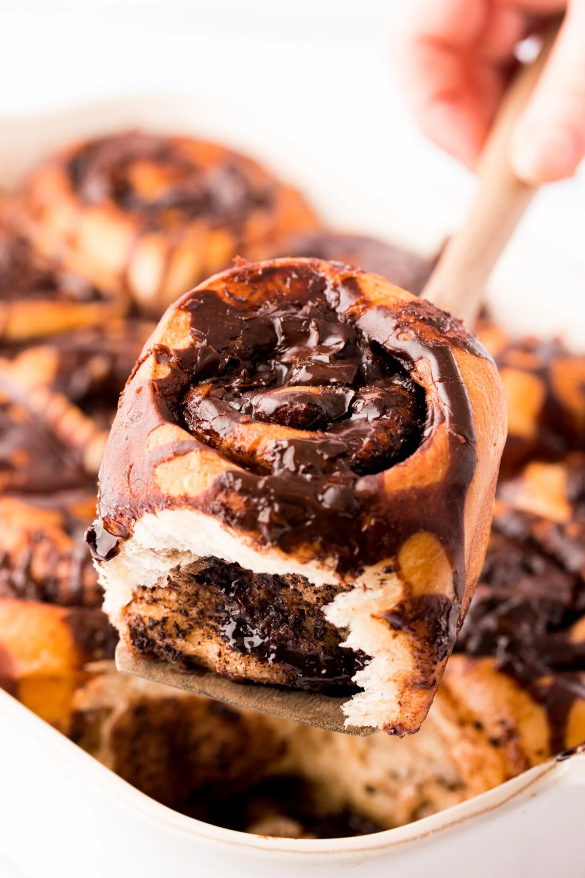 Chocolate Cinnamon Rolls