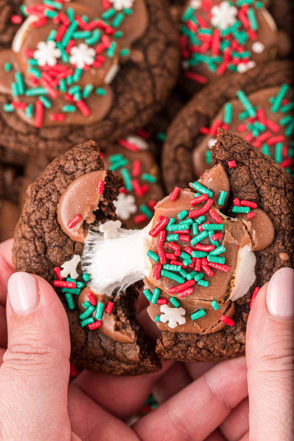 Hot Cocoa Cookies Recipe
