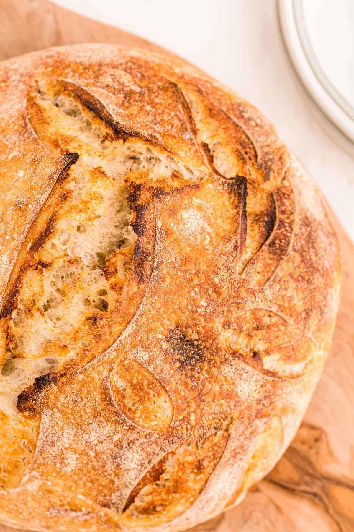 Sourdough Bread