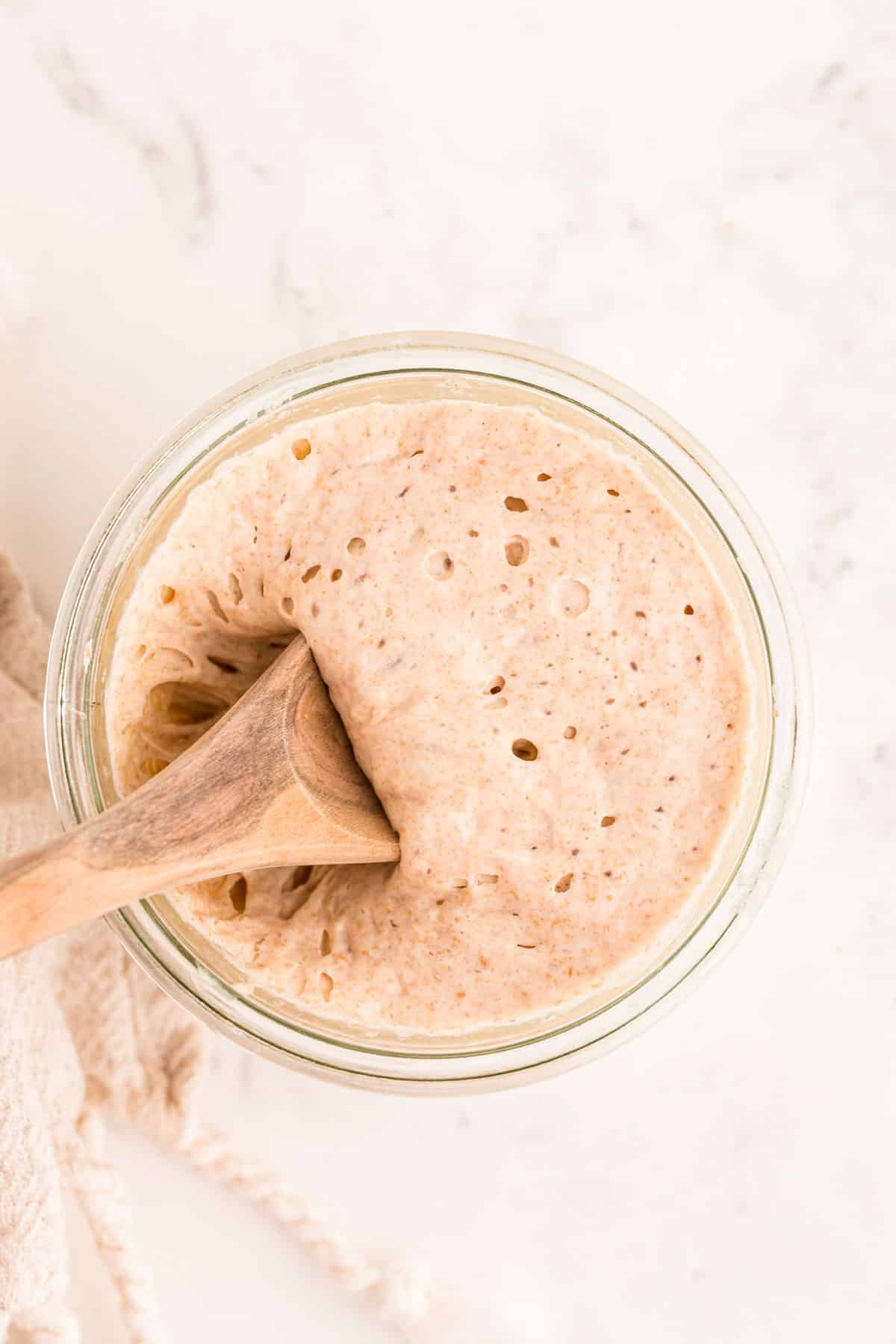 Sourdough Starter