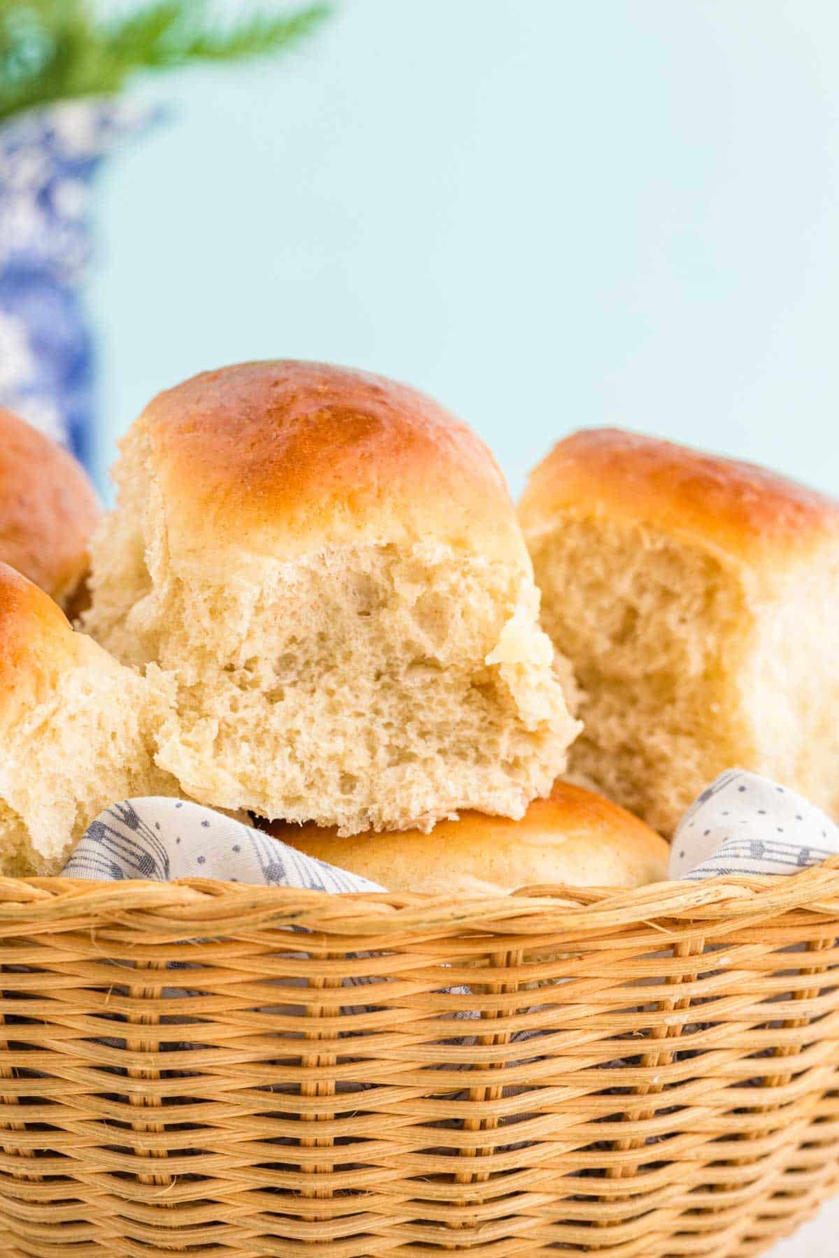 Sourdough Dinner Rolls