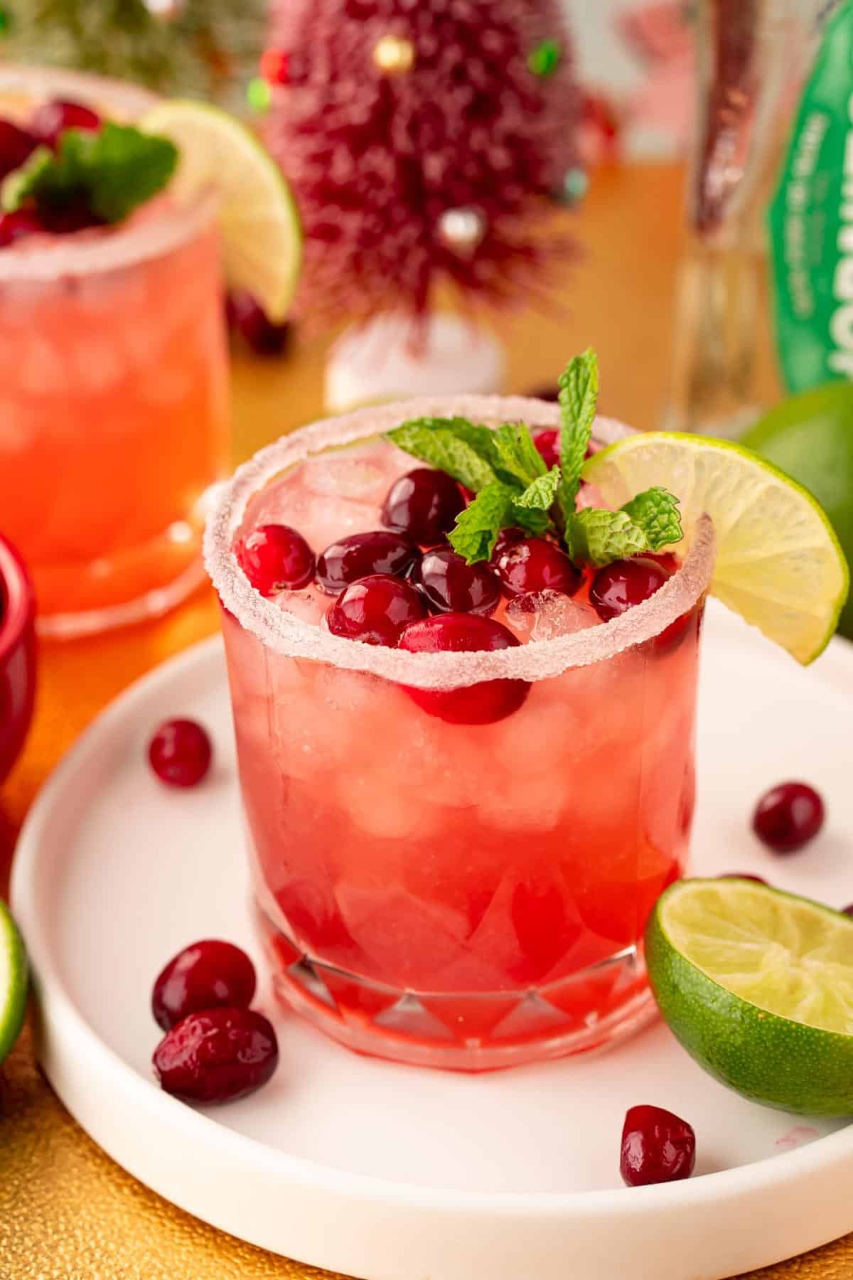 Cranberry Margarita
