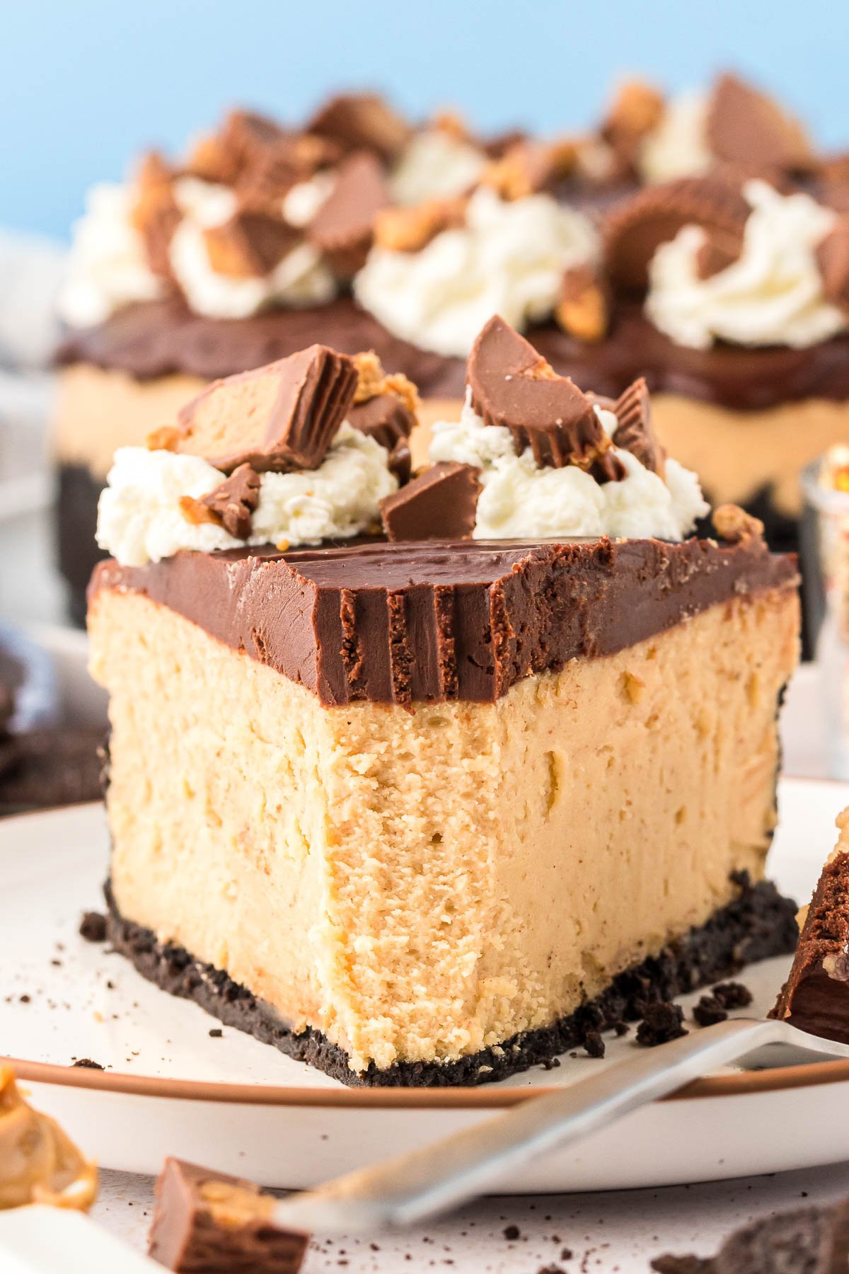Peanut Butter Cheesecake (with ganache)