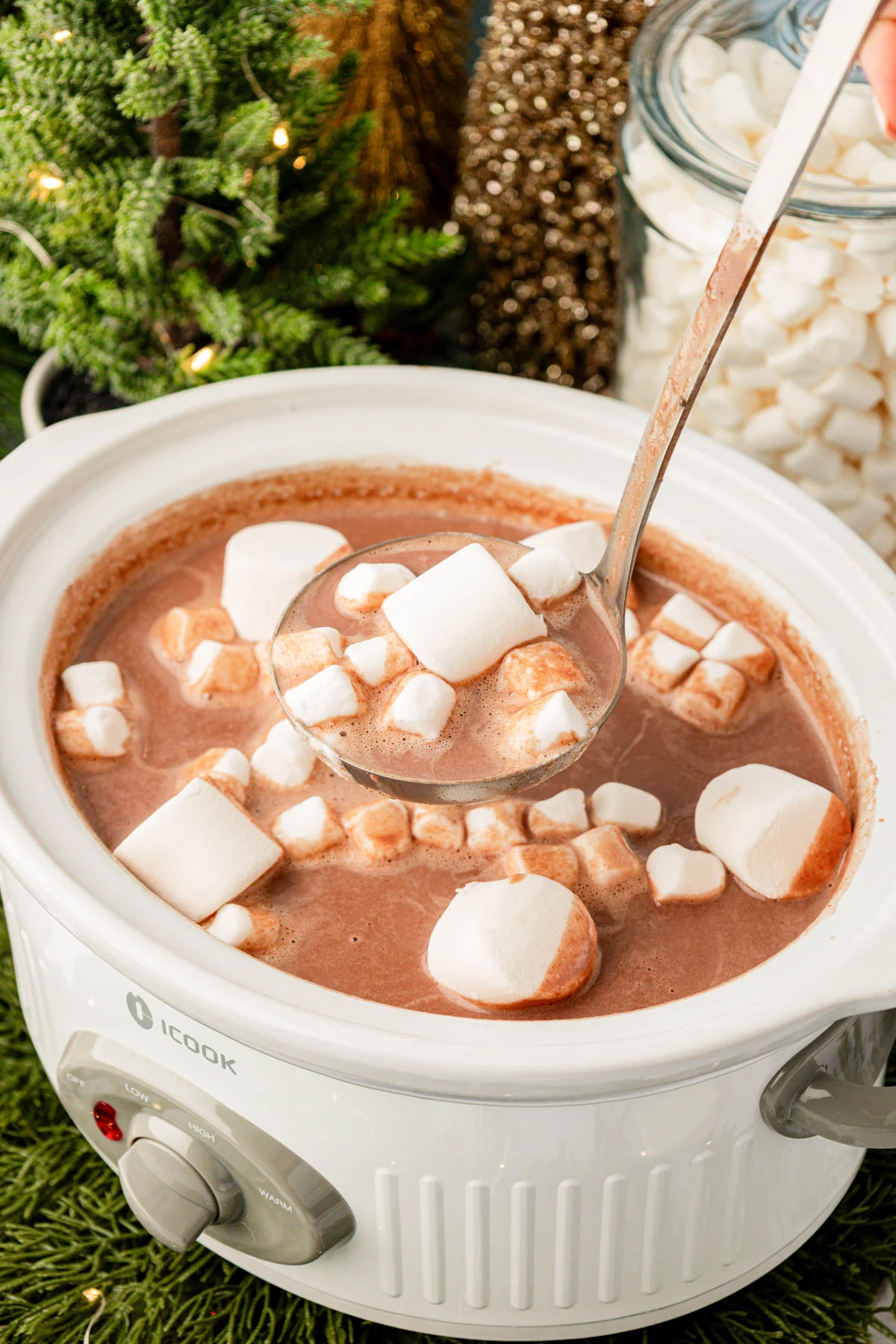 Slow Cooker Hot Chocolate