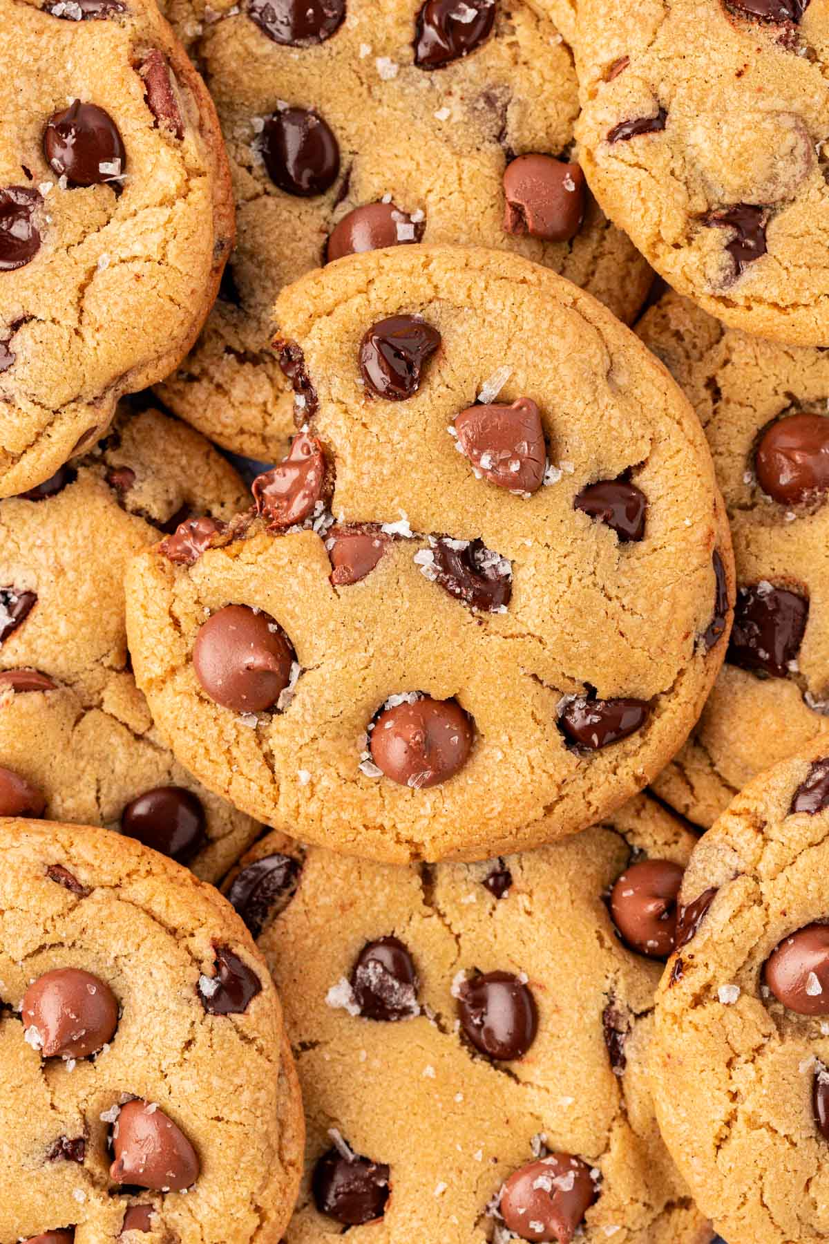 Chewy Chocolate Chip Cookies